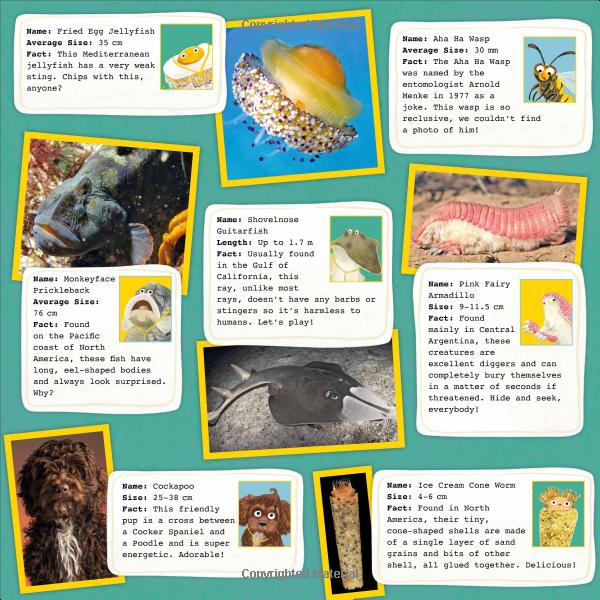 you're called what? - Ảnh 8