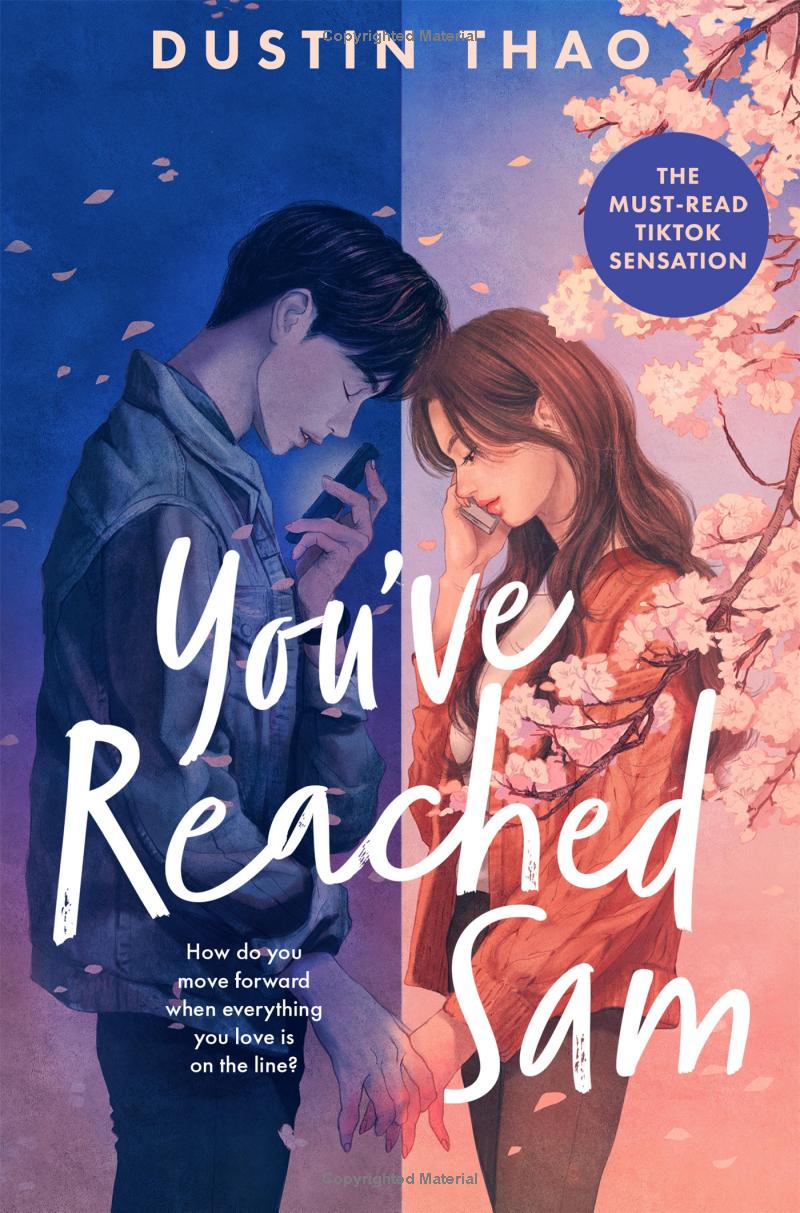 you've reached sam - Ảnh 2