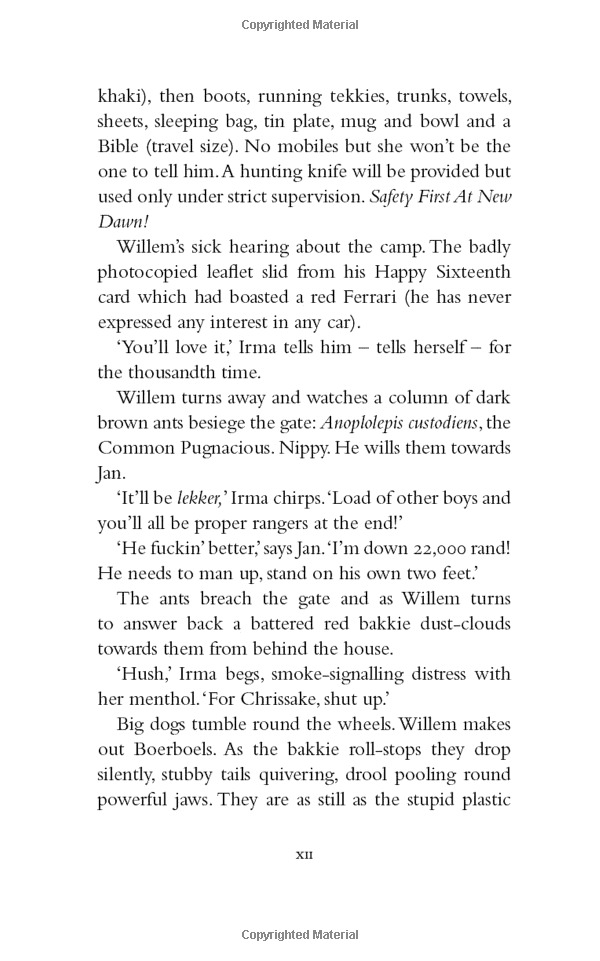 you will be safe here - Ảnh 8