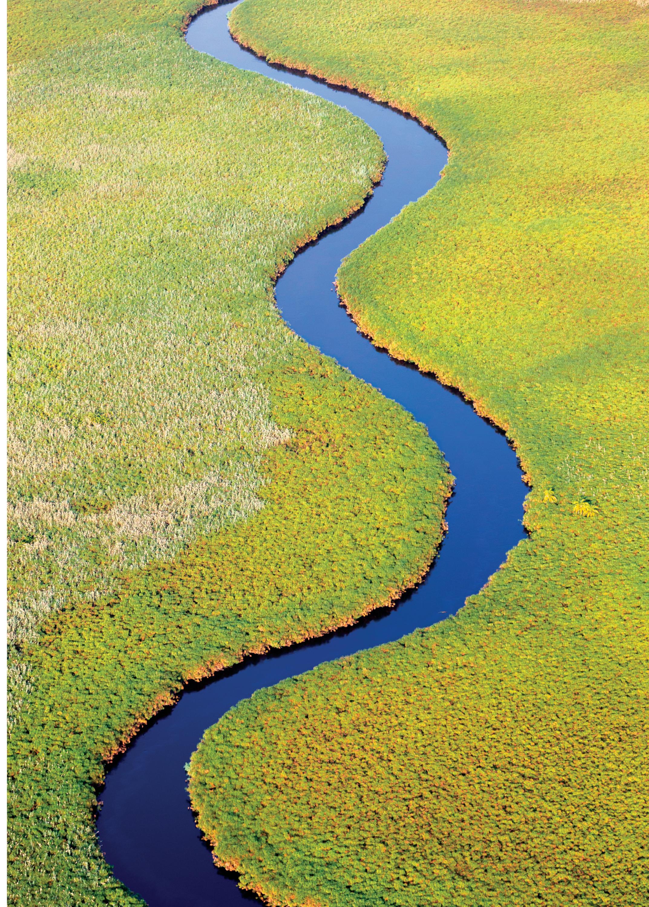 young eli readers - wonders - stage 3 b1.1 - downloadable audio files - Ảnh 11