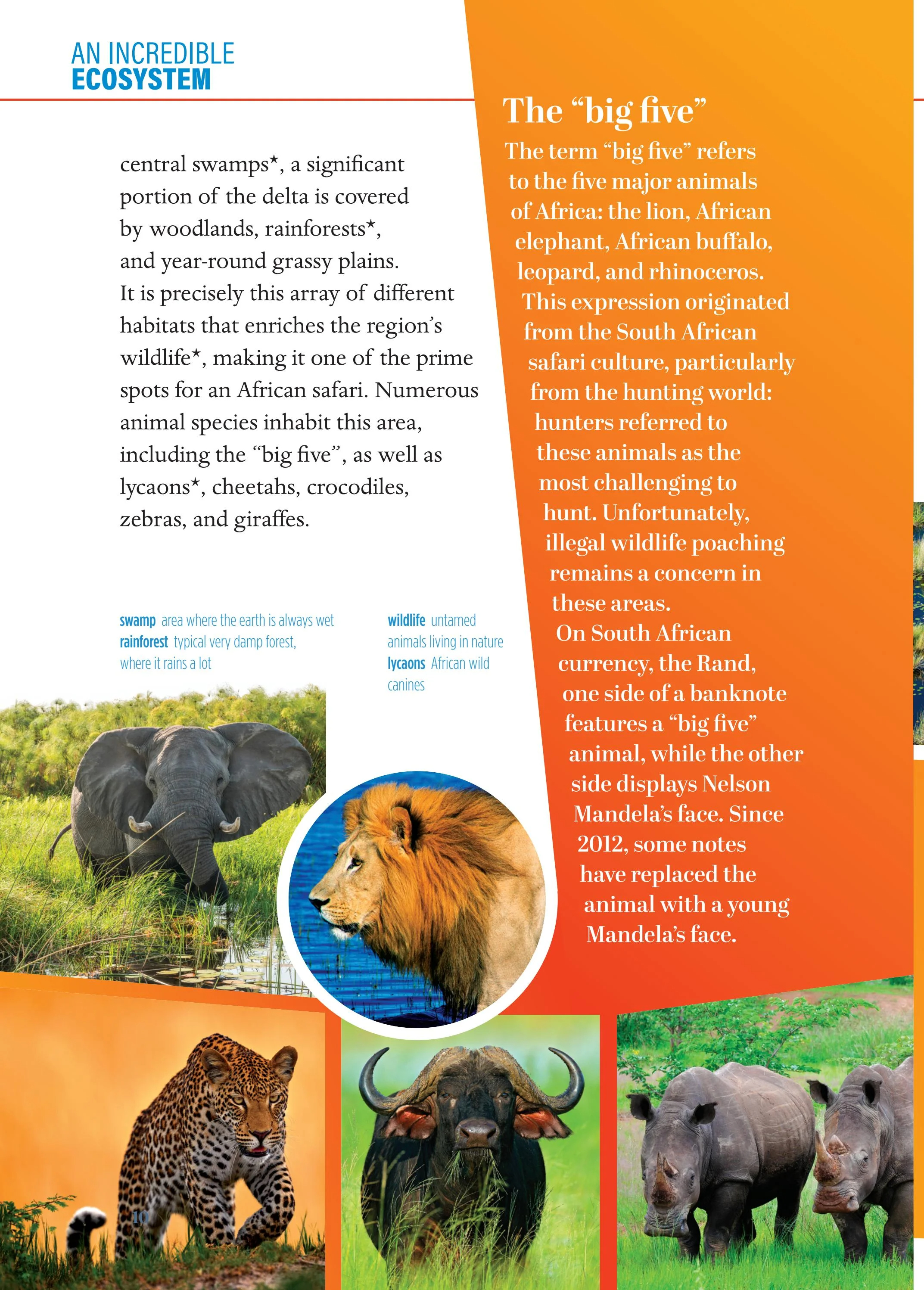 young eli readers - wonders - stage 3 b1.1 - downloadable audio files - Ảnh 12