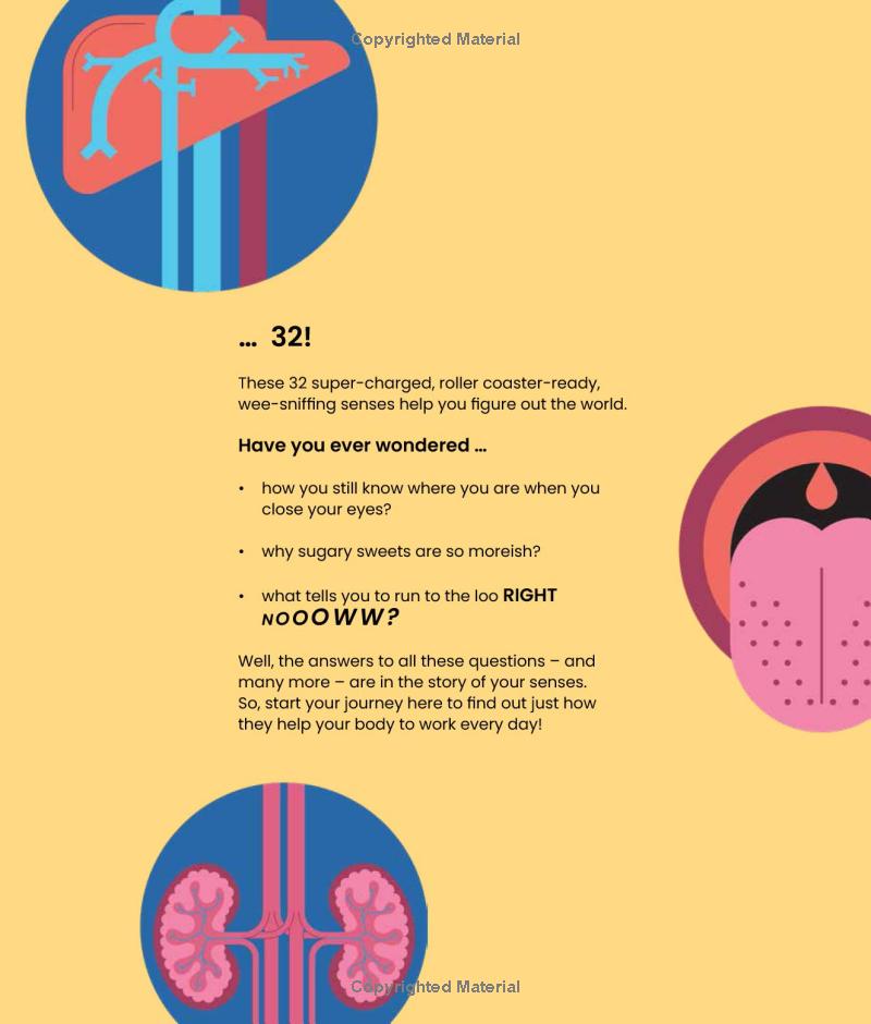 your sense-ational human body - Ảnh 7