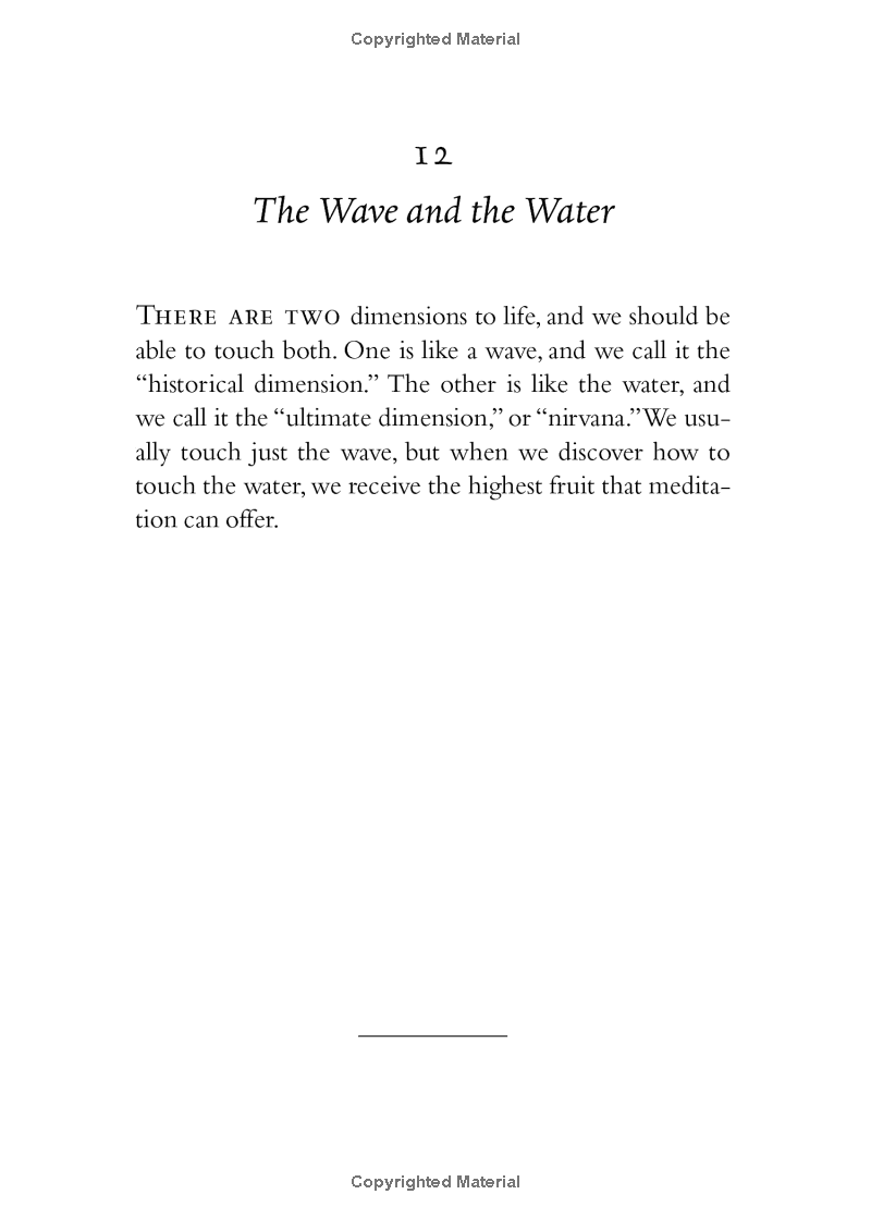 your true home: the everyday wisdom of thich nhat hanh - Ảnh 10
