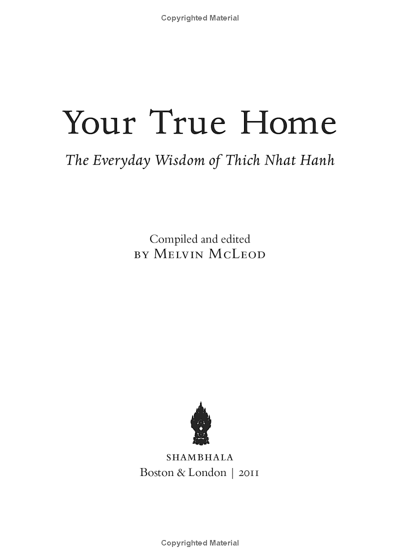 your true home: the everyday wisdom of thich nhat hanh - Ảnh 11
