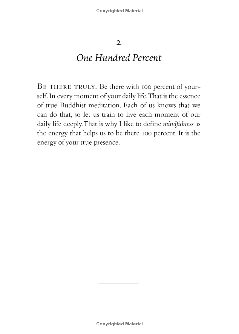 your true home: the everyday wisdom of thich nhat hanh - Ảnh 14