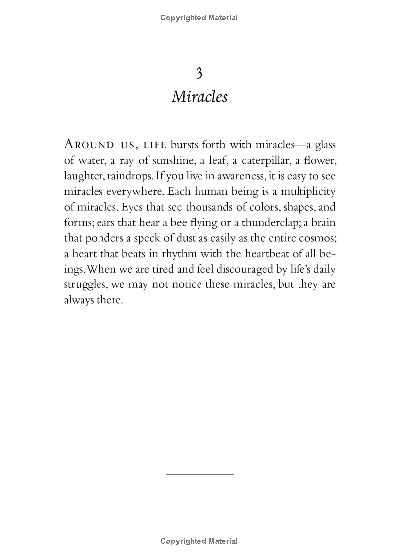 your true home: the everyday wisdom of thich nhat hanh - Ảnh 15