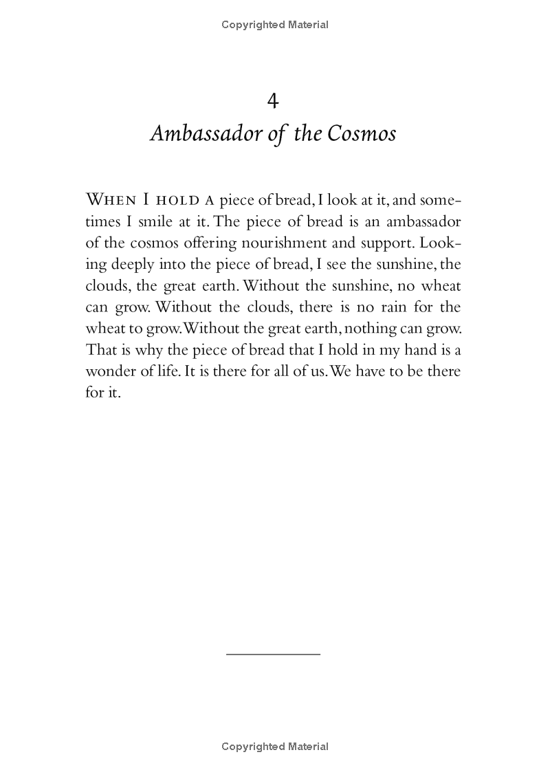 your true home: the everyday wisdom of thich nhat hanh - Ảnh 16