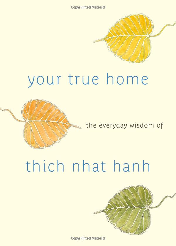 your true home: the everyday wisdom of thich nhat hanh - Ảnh 2