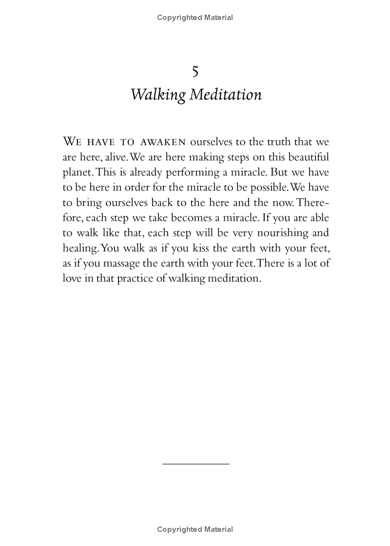 your true home: the everyday wisdom of thich nhat hanh - Ảnh 3