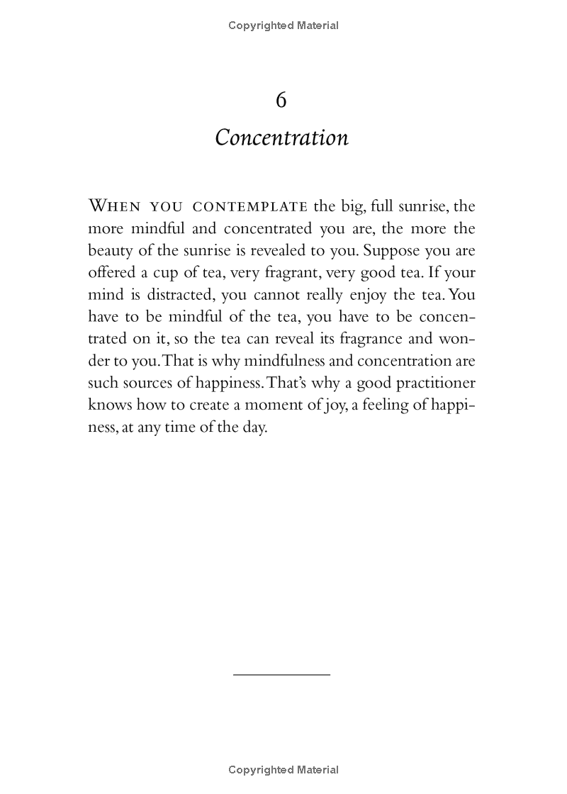 your true home: the everyday wisdom of thich nhat hanh - Ảnh 4