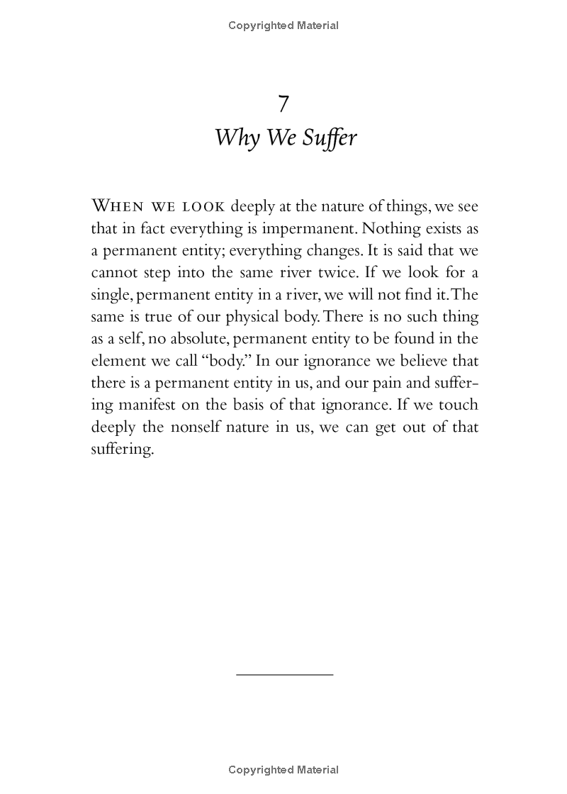 your true home: the everyday wisdom of thich nhat hanh - Ảnh 5