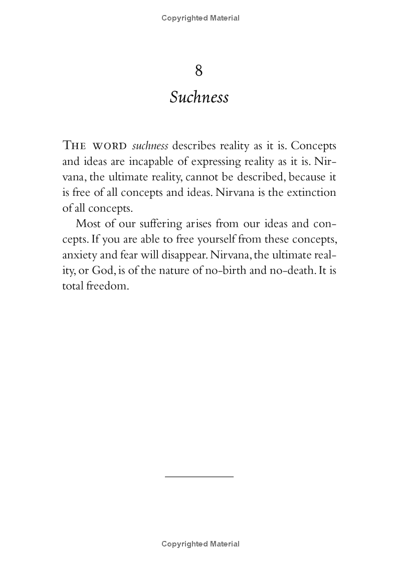 your true home: the everyday wisdom of thich nhat hanh - Ảnh 6