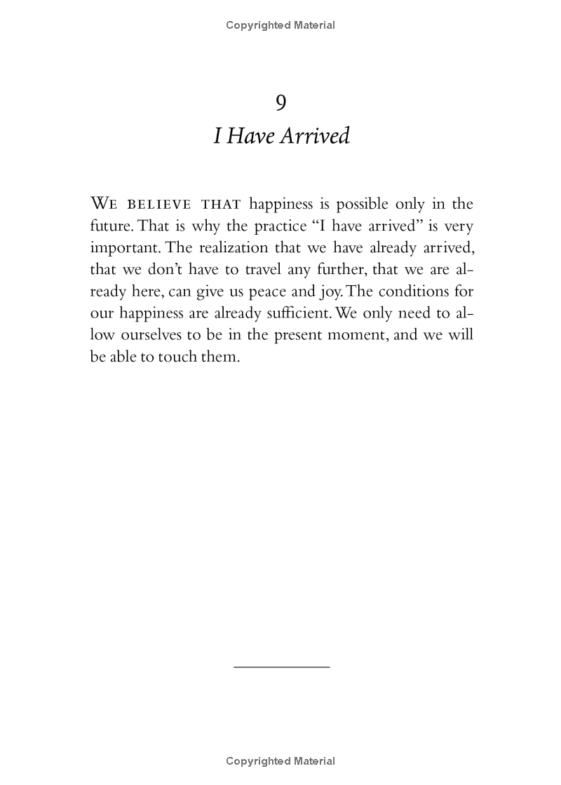 your true home: the everyday wisdom of thich nhat hanh - Ảnh 7