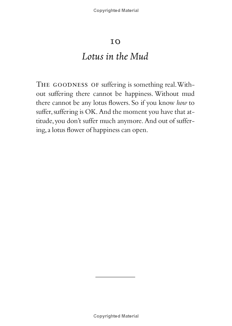 your true home: the everyday wisdom of thich nhat hanh - Ảnh 8