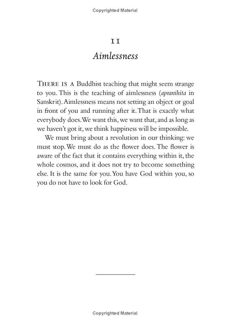 your true home: the everyday wisdom of thich nhat hanh - Ảnh 9