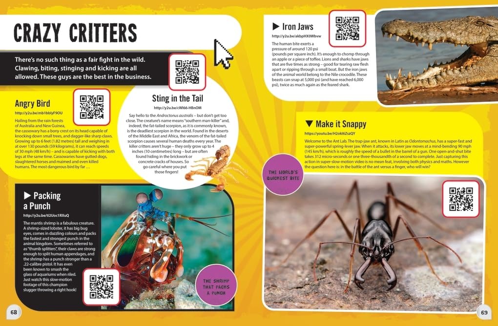 Youtube World Records 2025 - Ảnh 5