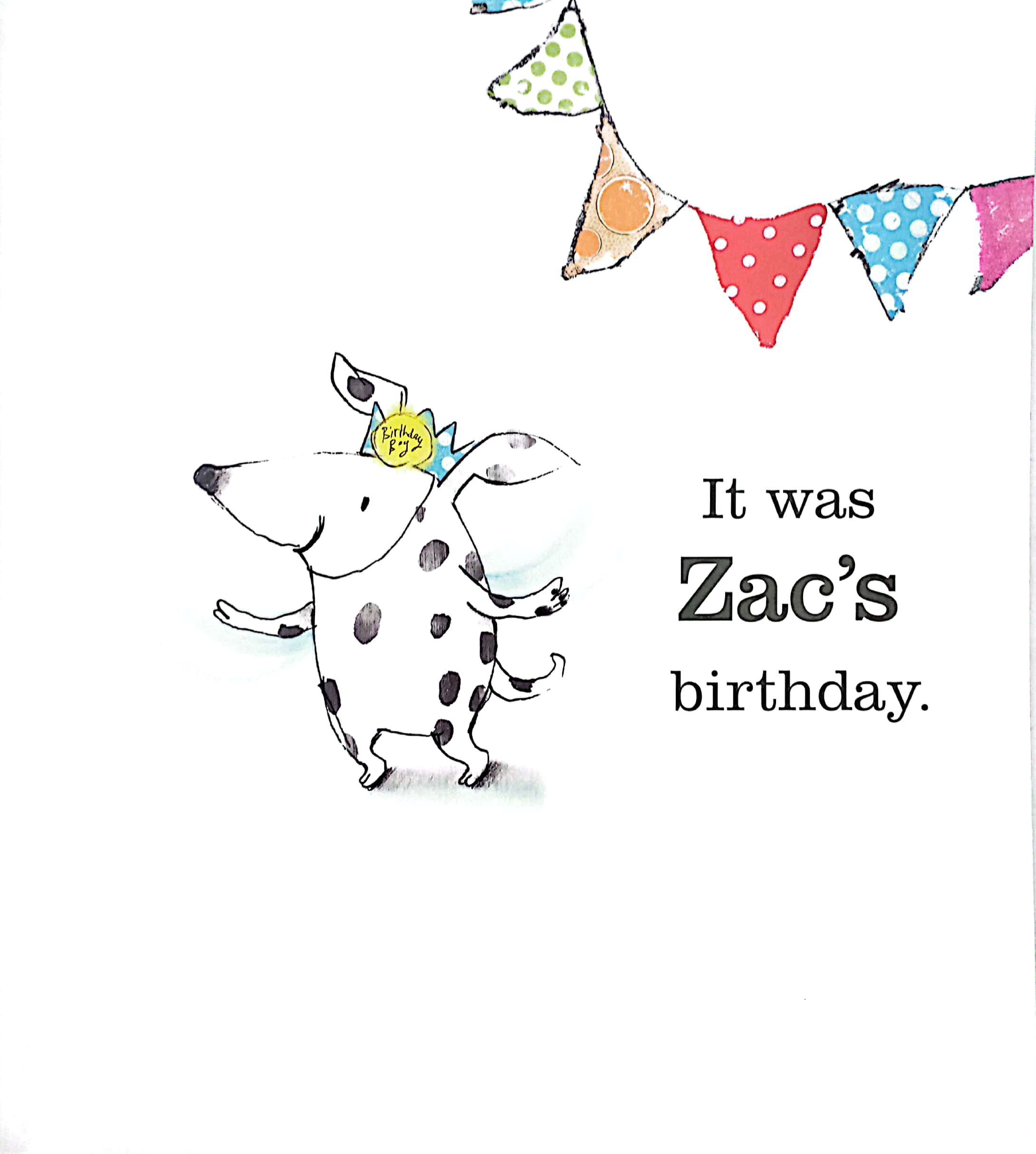 zac and zeb and the make believe birthday party (zac & zeb) - Ảnh 4