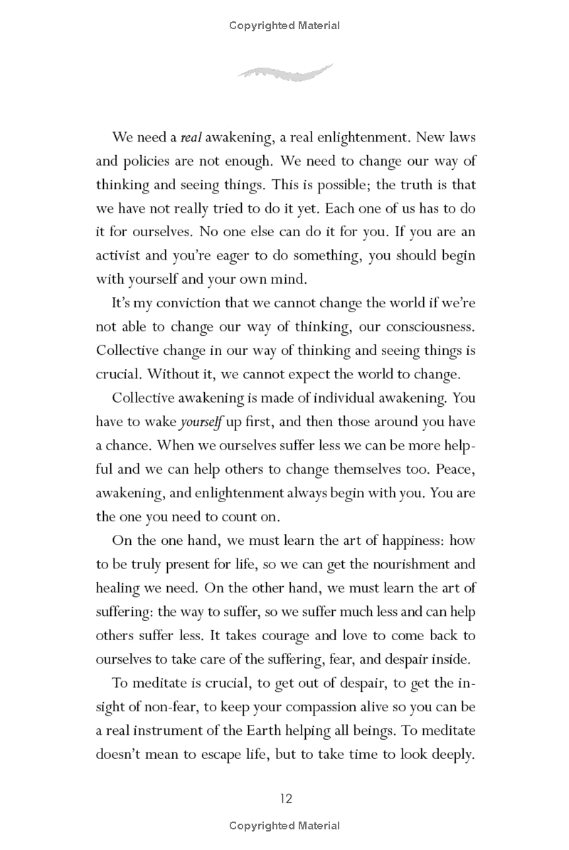 zen and the art of saving the planet - Ảnh 10