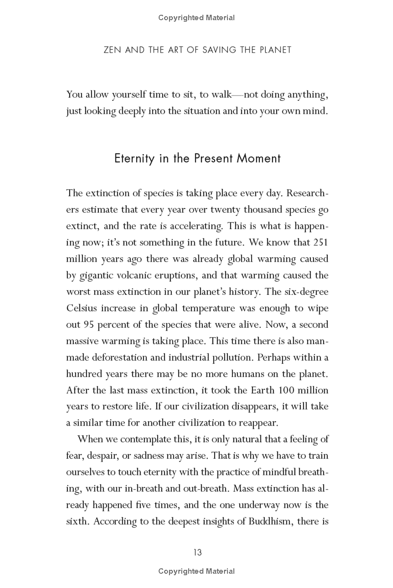 zen and the art of saving the planet - Ảnh 11