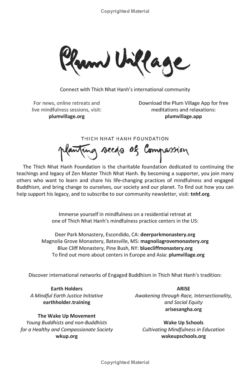 zen and the art of saving the planet - Ảnh 12