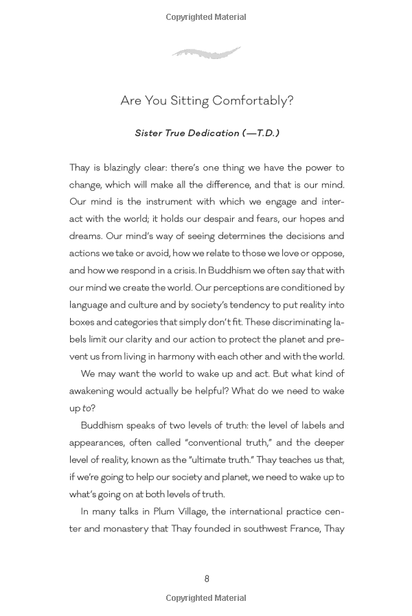 zen and the art of saving the planet - Ảnh 6