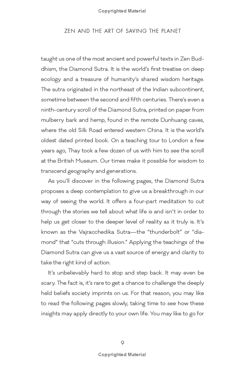 zen and the art of saving the planet - Ảnh 7