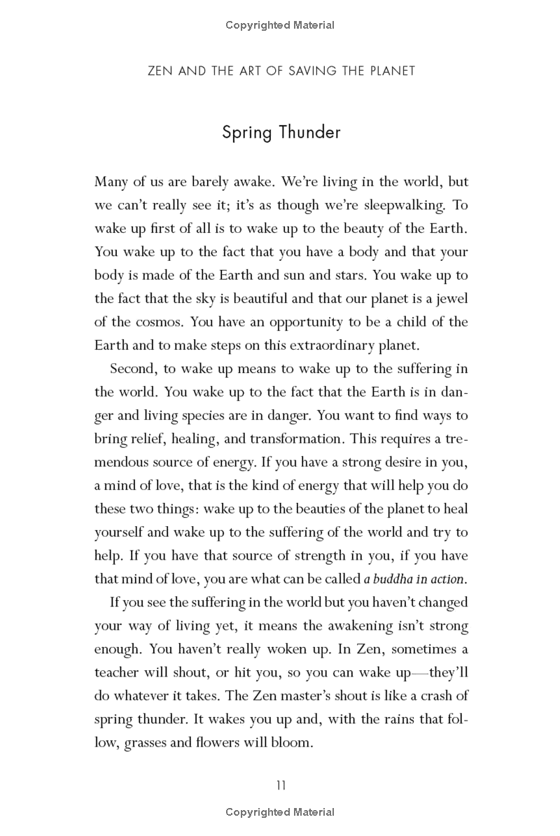 zen and the art of saving the planet - Ảnh 9