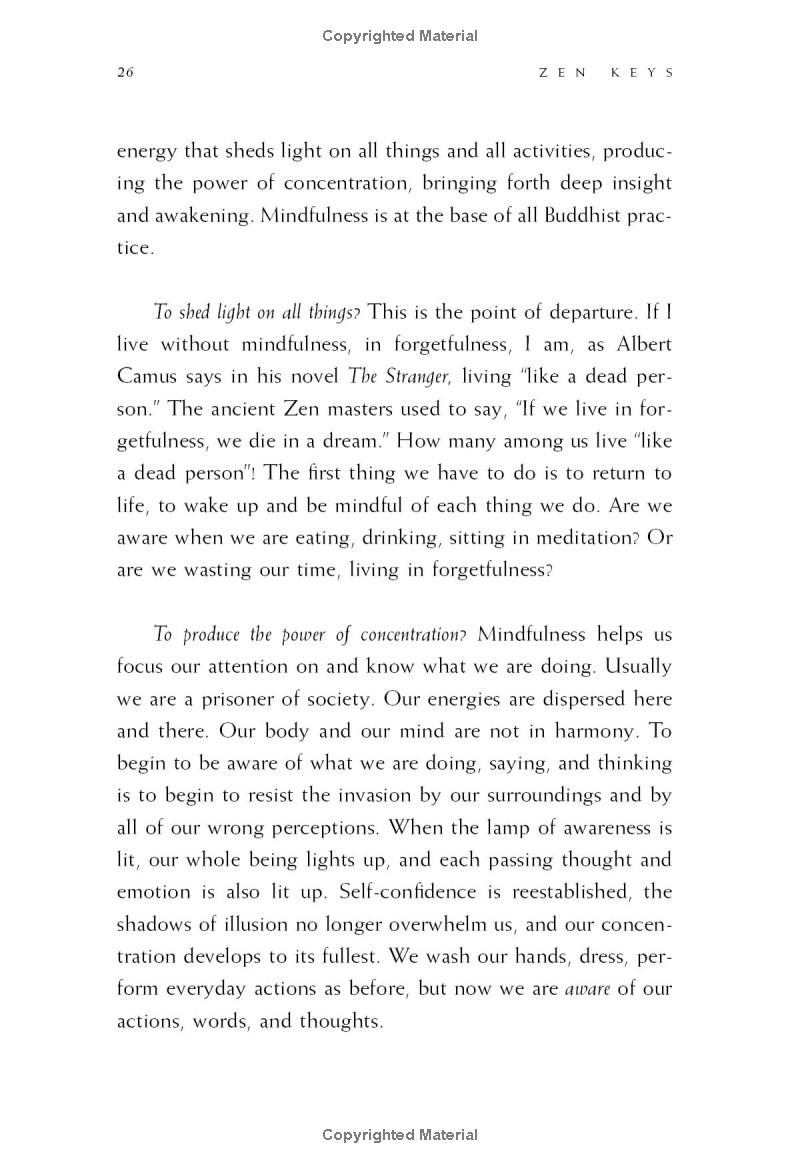 zen keys: a guide to zen practice - Ảnh 11