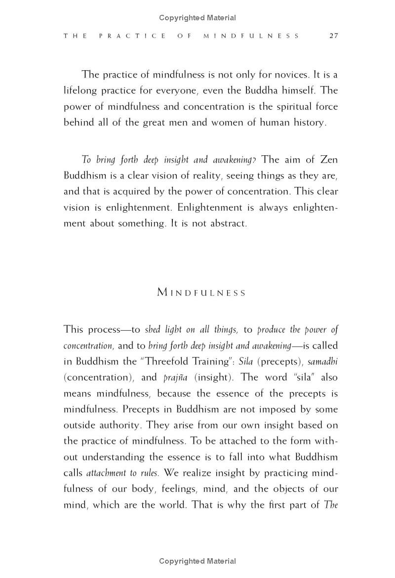 zen keys: a guide to zen practice - Ảnh 12