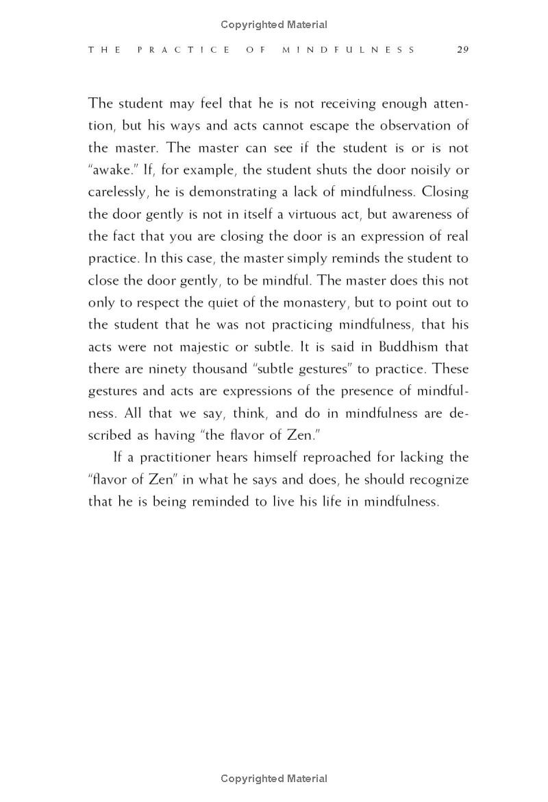 zen keys: a guide to zen practice - Ảnh 14