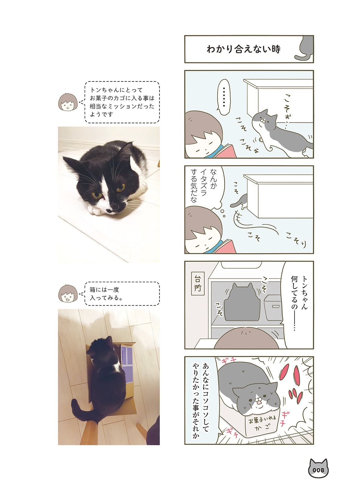 うちの猫がまた変なことしてる。- uchi no neko ga mata hen na koto shiteru. 1 - Ảnh 5