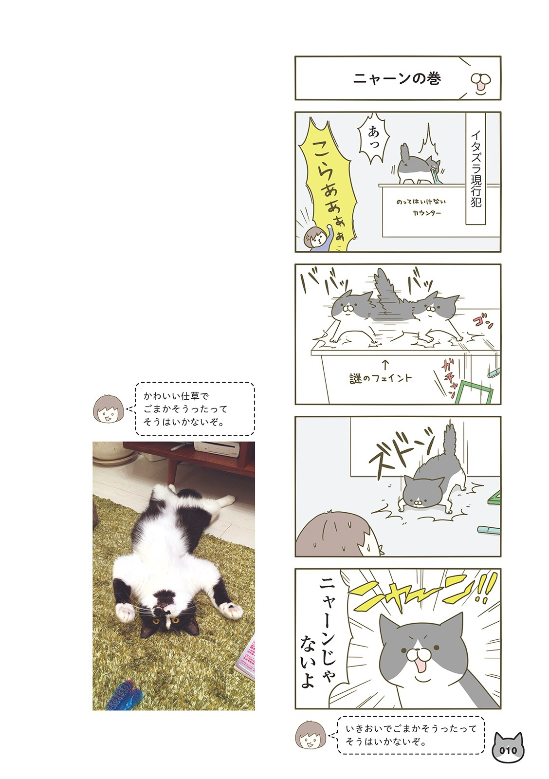 うちの猫がまた変なことしてる。- uchi no neko ga mata hen na koto shiteru. 1 - Ảnh 7