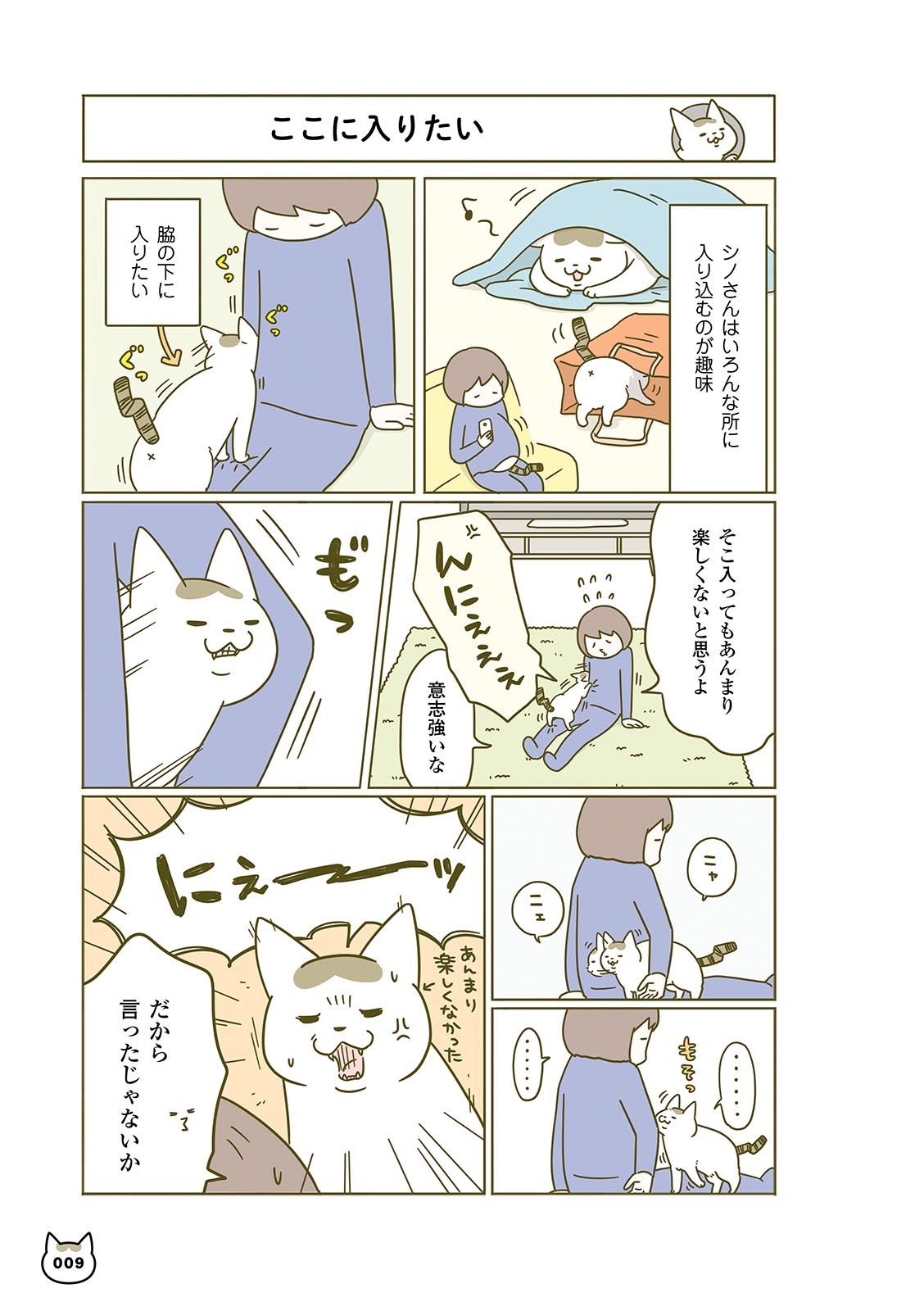 うちの猫がまた変なことしてる。- uchi no neko ga mata hen na koto shiteru. 3 - Ảnh 11