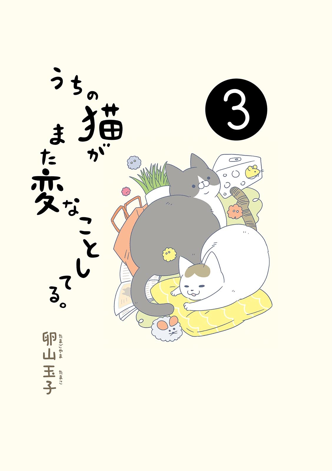 うちの猫がまた変なことしてる。- uchi no neko ga mata hen na koto shiteru. 3 - Ảnh 3