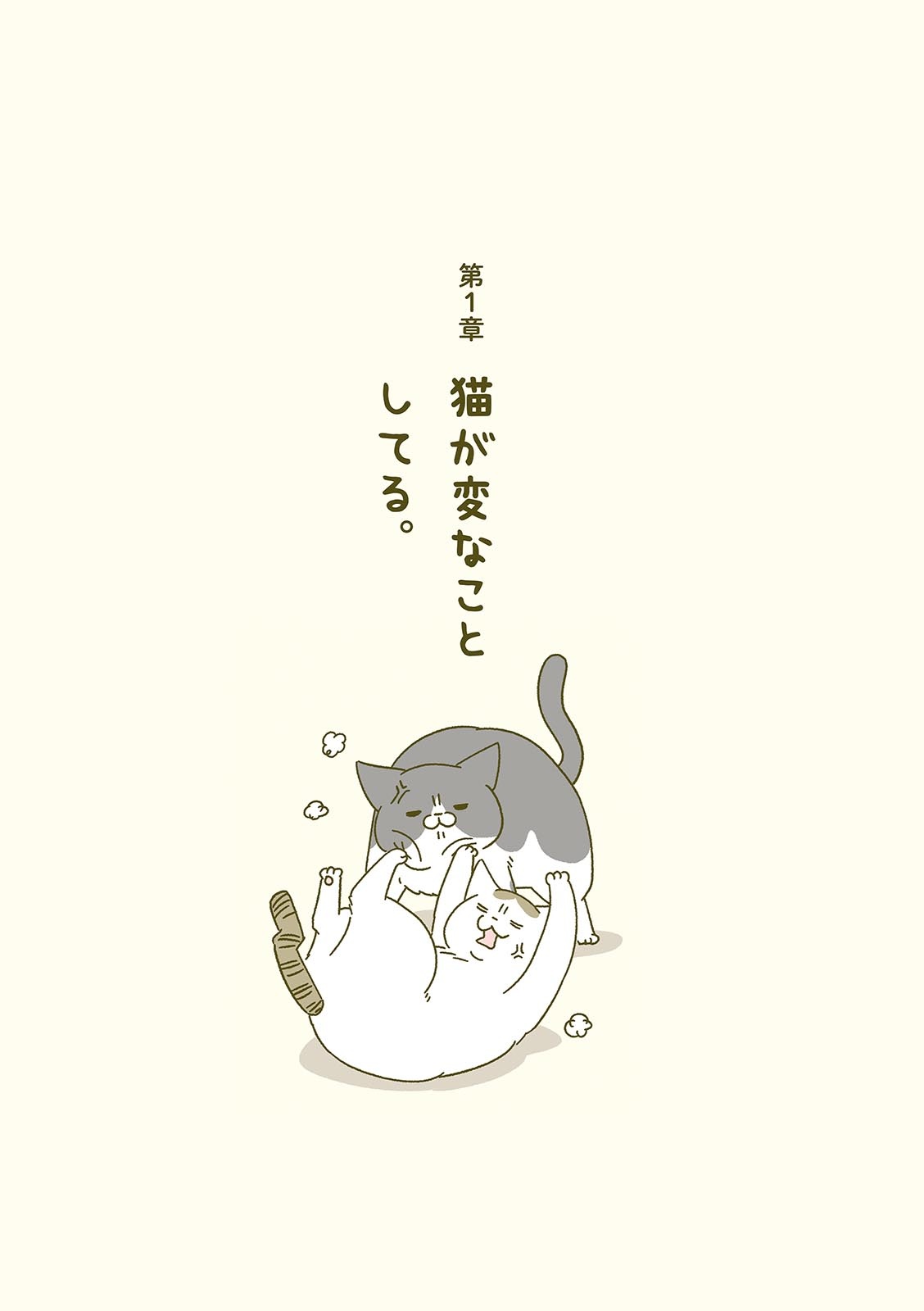 うちの猫がまた変なことしてる。- uchi no neko ga mata hen na koto shiteru. 3 - Ảnh 9