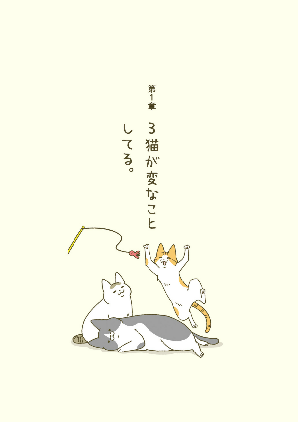 うちの猫がまた変なことしてる。- uchi no neko ga mata hen na koto shiteru. 4 - Ảnh 10