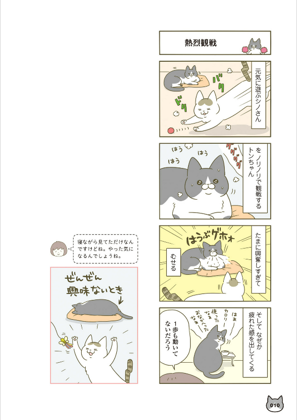 うちの猫がまた変なことしてる。- uchi no neko ga mata hen na koto shiteru. 4 - Ảnh 11