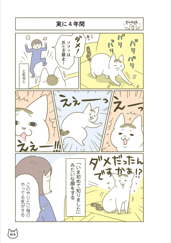 うちの猫がまた変なことしてる。- uchi no neko ga mata hen na koto shiteru. 4 - Ảnh 16