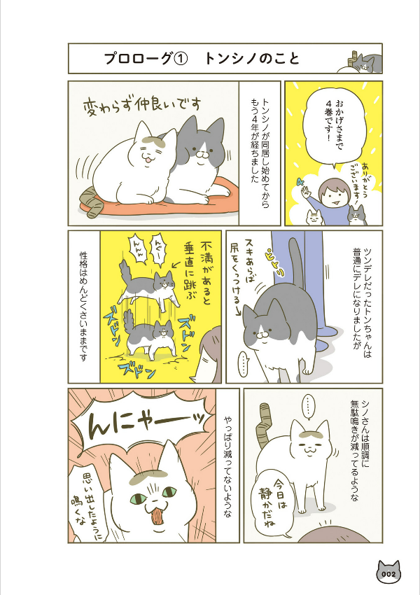 うちの猫がまた変なことしてる。- uchi no neko ga mata hen na koto shiteru. 4 - Ảnh 3