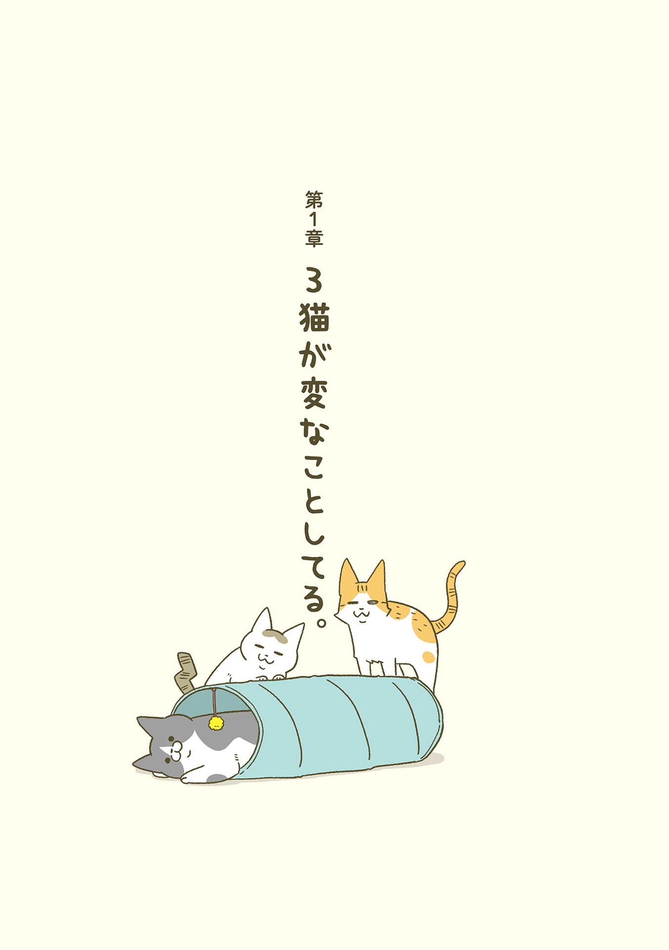 うちの猫がまた変なことしてる。- uchi no neko ga mata hen na koto shiteru. 6 - Ảnh 12