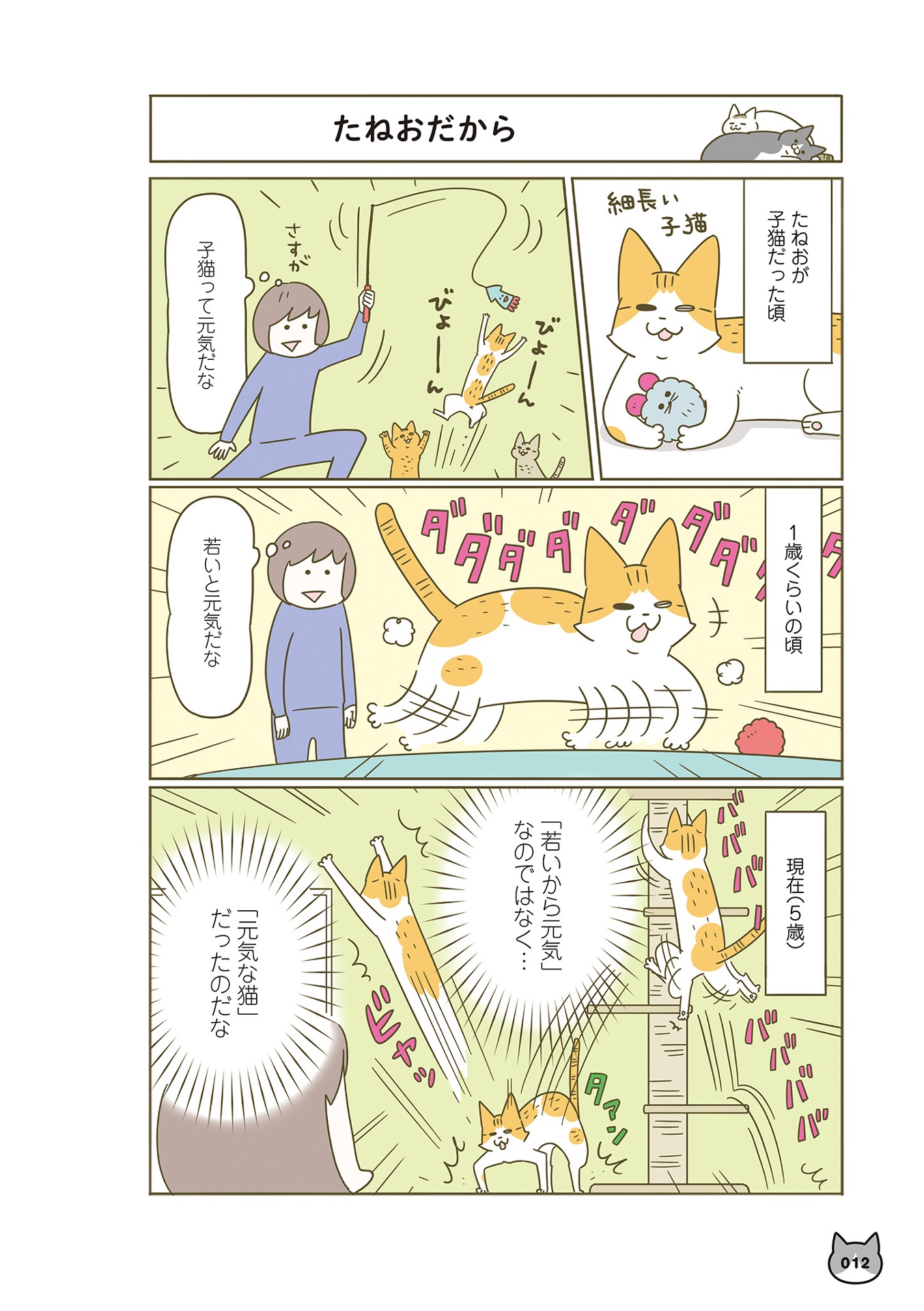 うちの猫がまた変なことしてる。- uchi no neko ga mata hen na koto shiteru. 6 - Ảnh 15