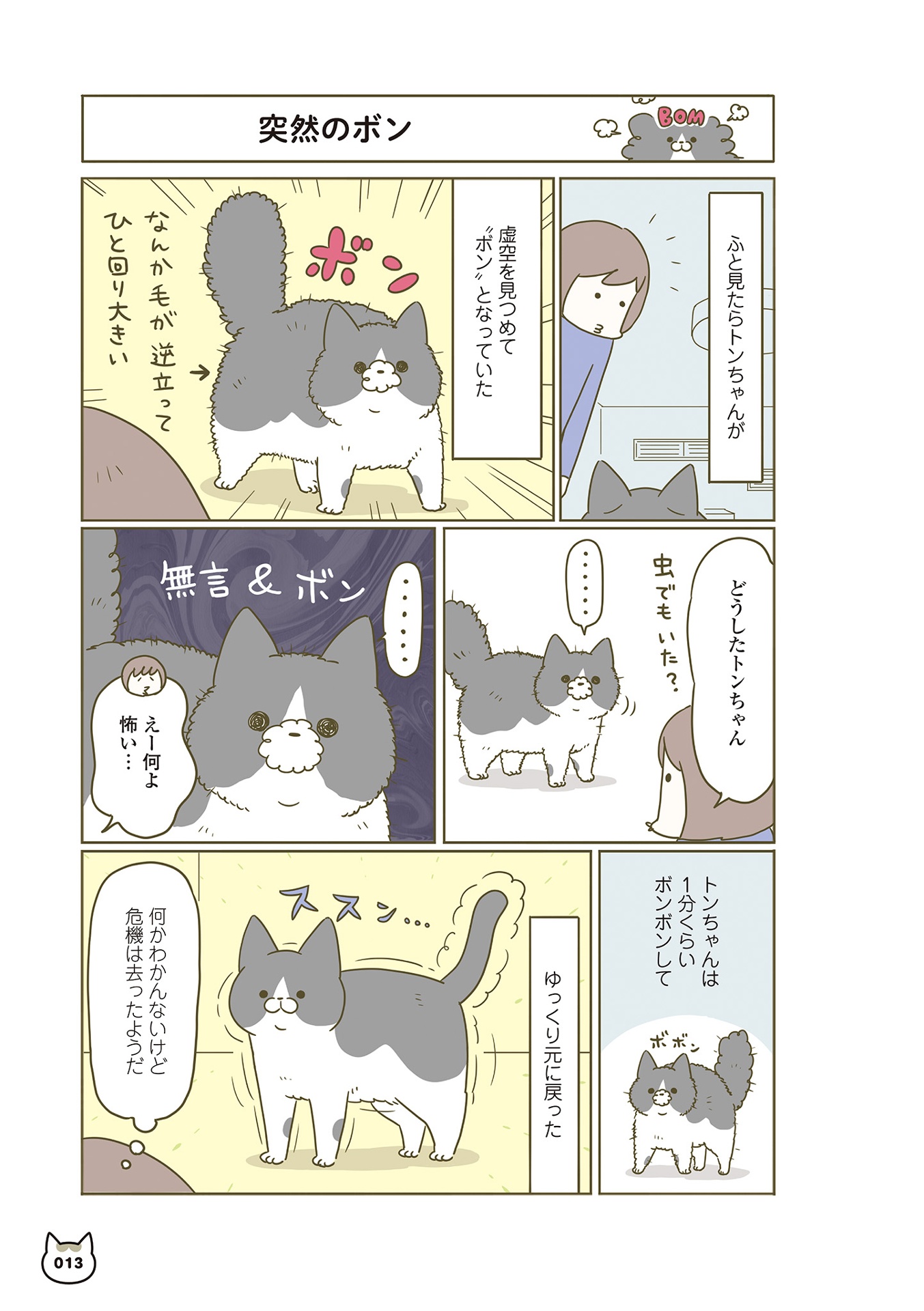 うちの猫がまた変なことしてる。- uchi no neko ga mata hen na koto shiteru. 6 - Ảnh 16