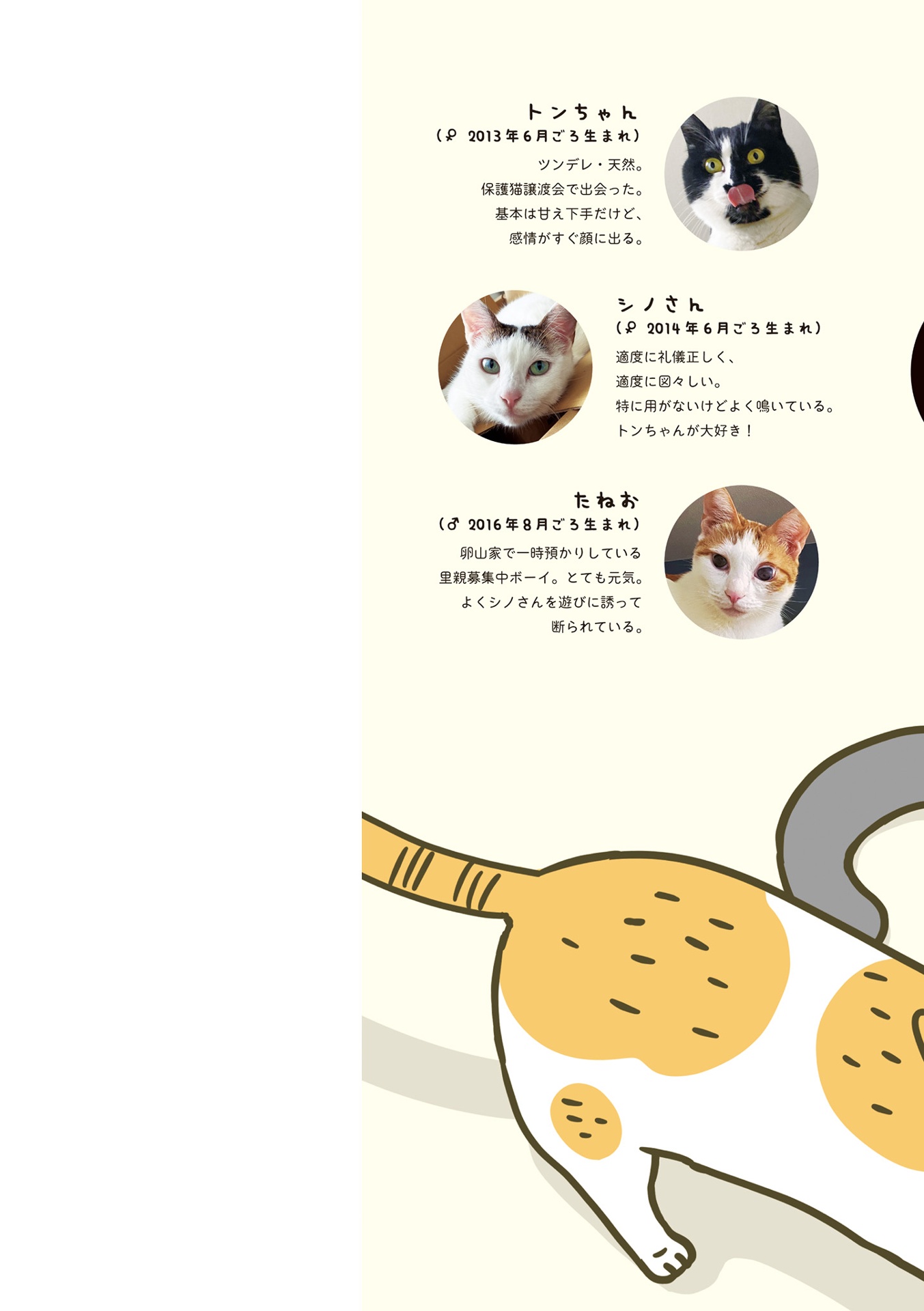 うちの猫がまた変なことしてる。- uchi no neko ga mata hen na koto shiteru. 6 - Ảnh 3