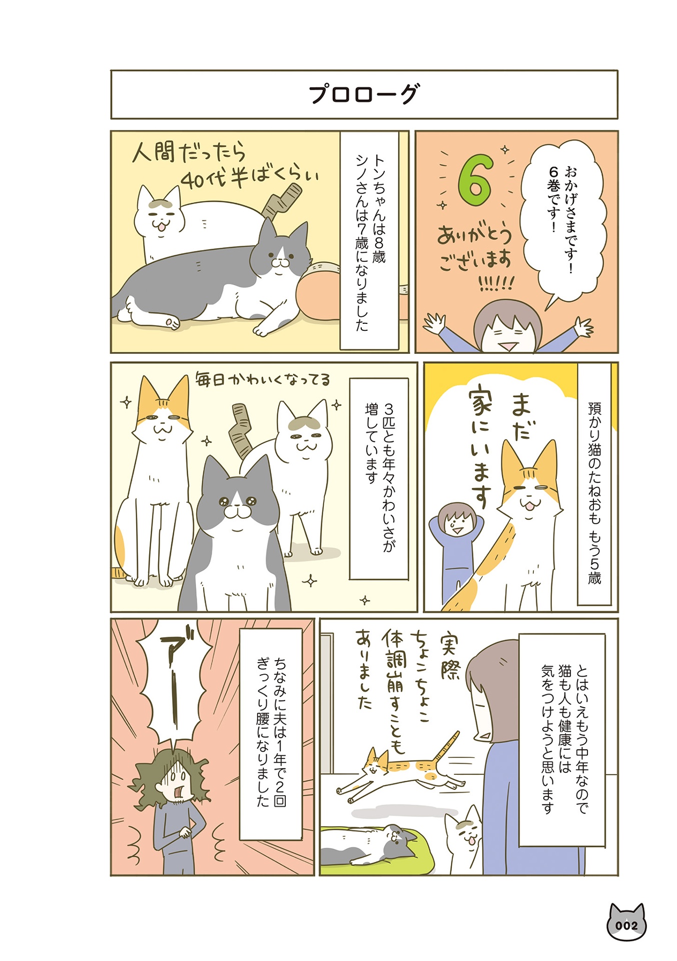 うちの猫がまた変なことしてる。- uchi no neko ga mata hen na koto shiteru. 6 - Ảnh 5