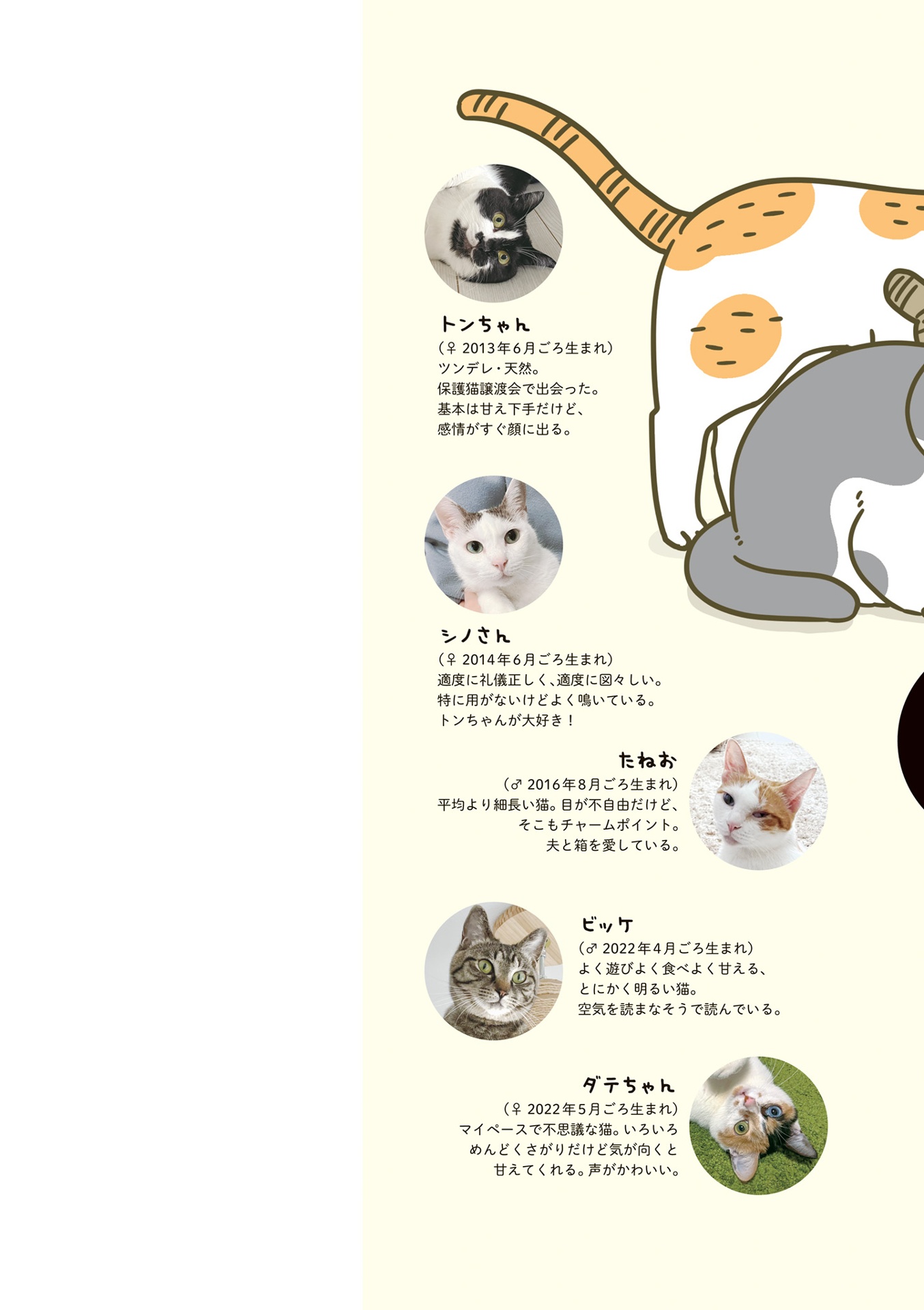 うちの猫がまた変なことしてる。- uchi no neko ga mata hen na koto shiteru. 8 - Ảnh 3