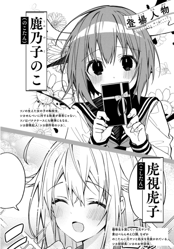 しかのこのこのここしたんたん - my deer friend nokotan 2 - Ảnh 4