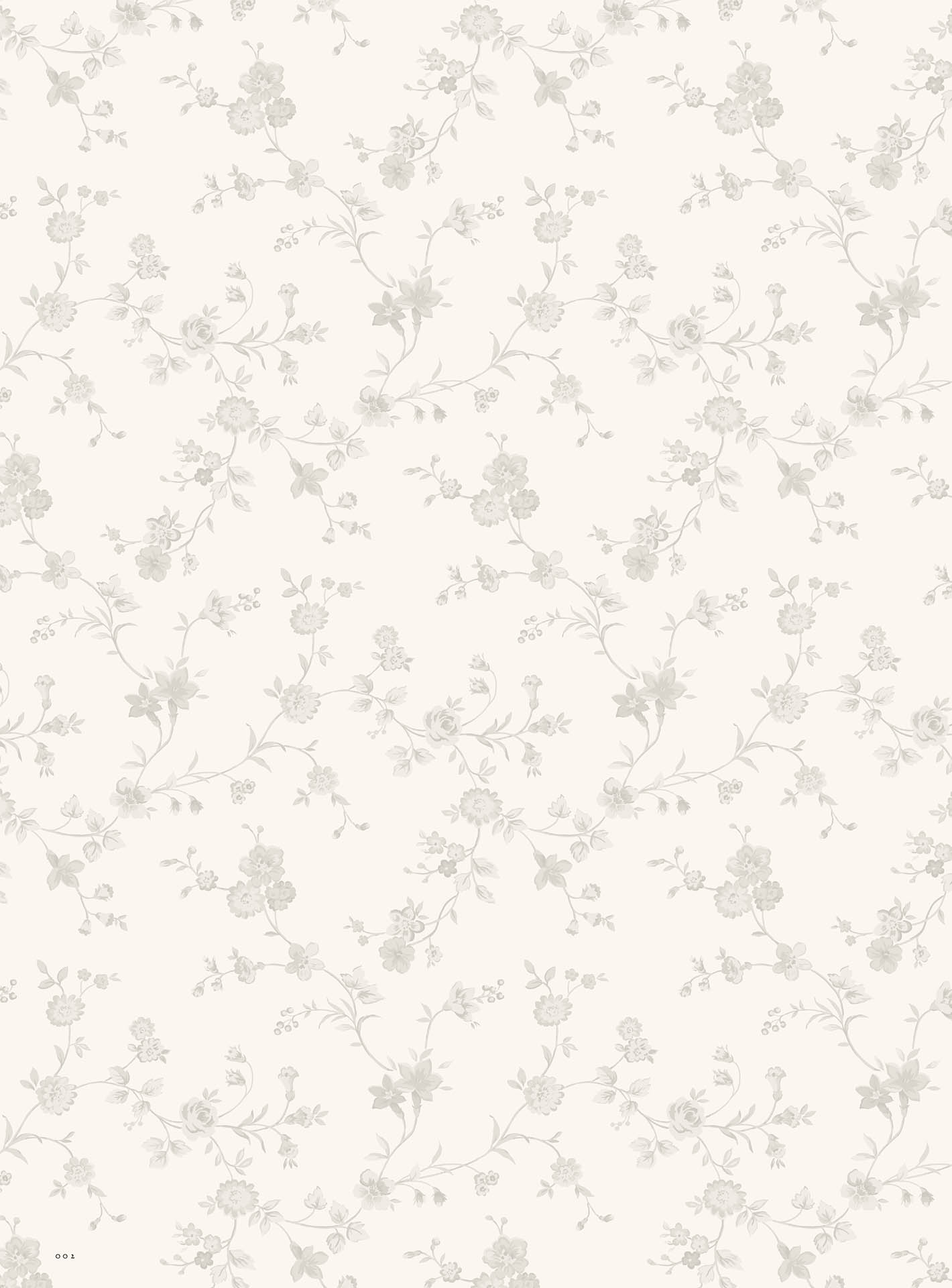 とあるお茶画集 - toaru ocha gashuu dolls - Ảnh 5