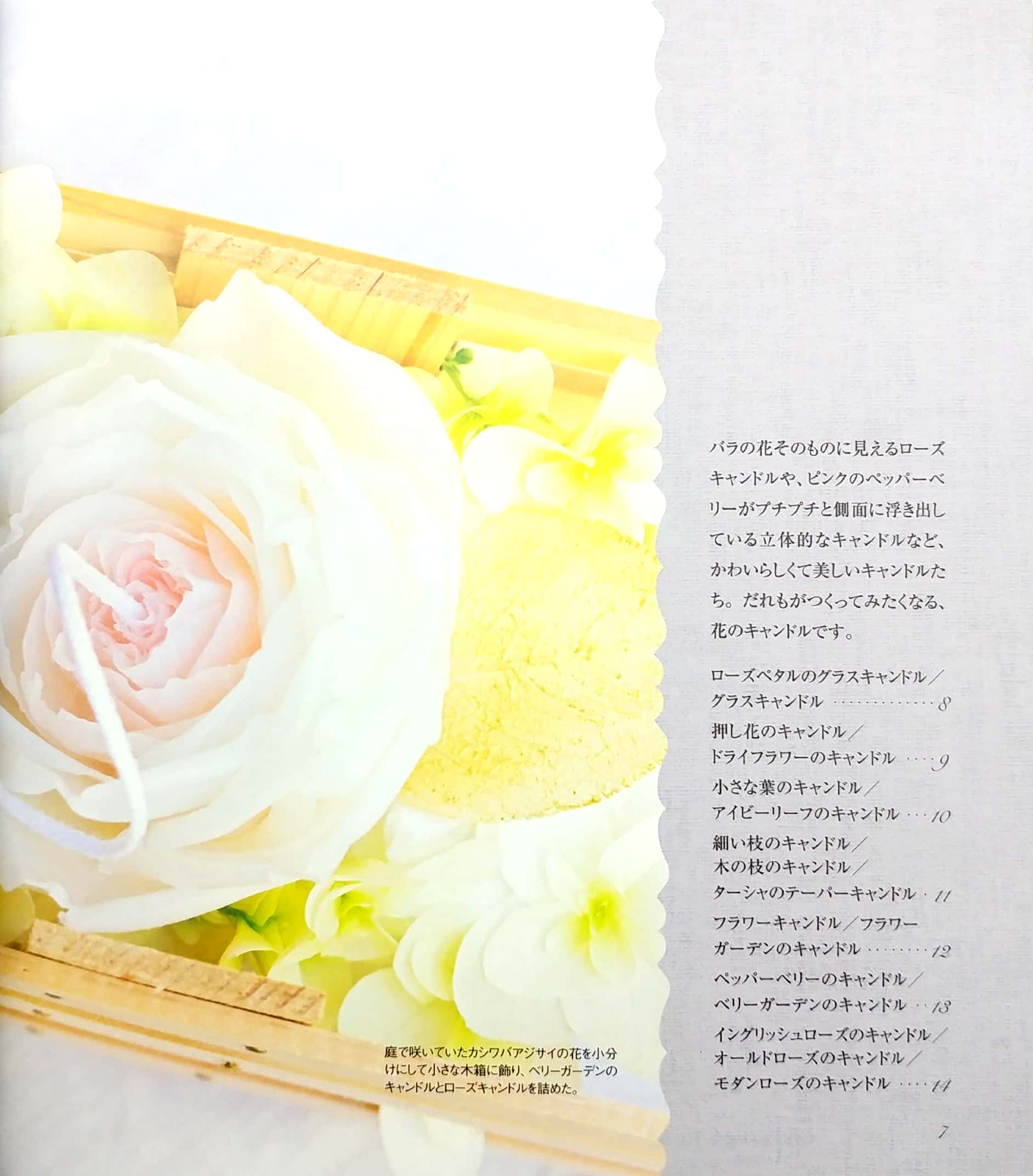 はじめてのフラワーキャンドル 飾る 灯す 贈る - hajimete no furawa kyandoru - Ảnh 6