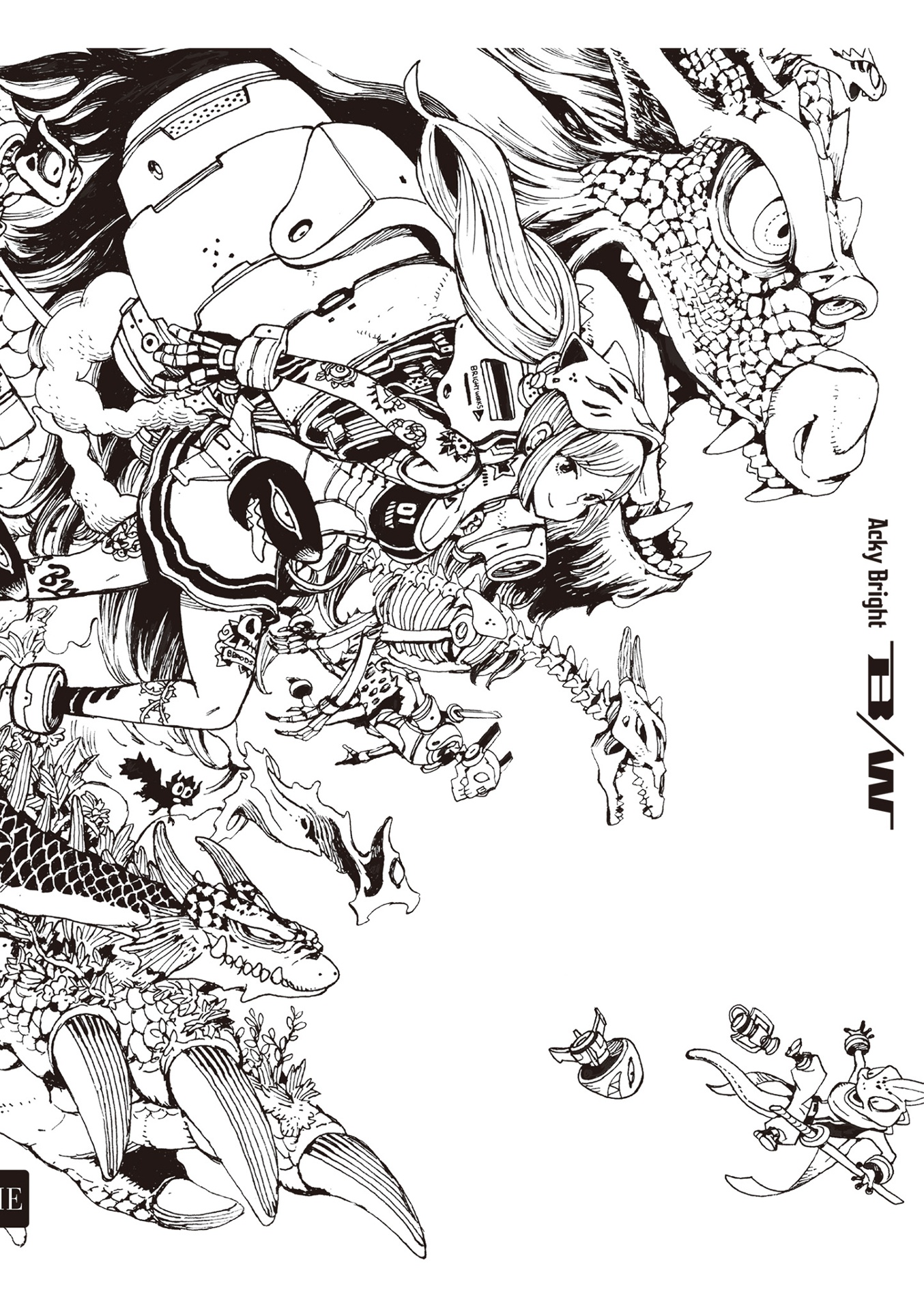 アッキーブライト ビーダブリュー - acky bright b/w - Ảnh 4