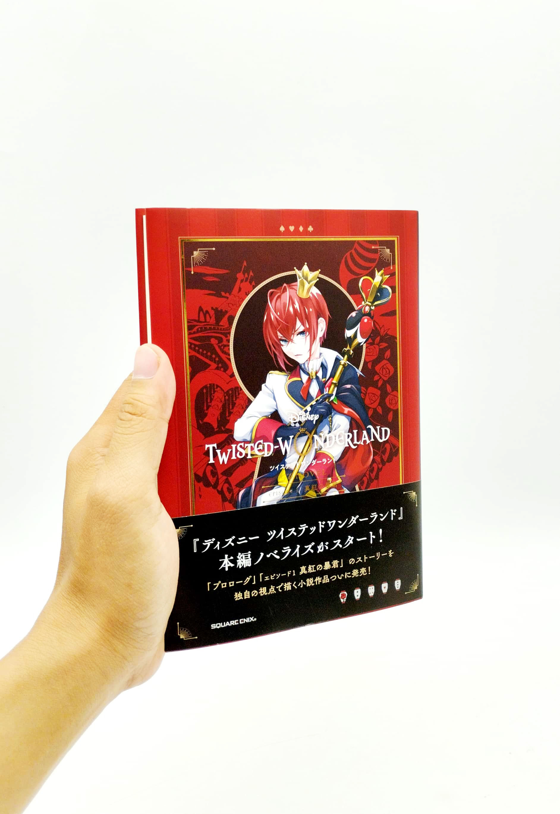 ディズニー ツイステッドワンダーランド the novel 1 - disney twisted wonderland the novel 1 - Ảnh 7